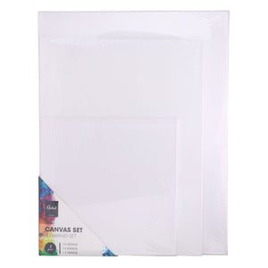 canvas schildersdoeken, set van 3