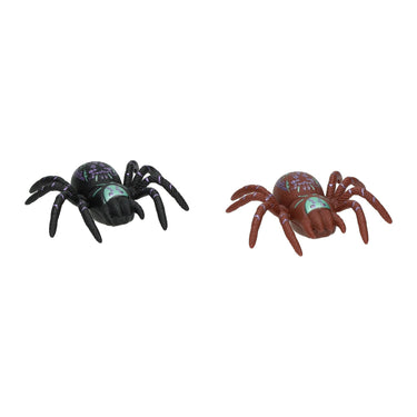 Raamkruiper spin