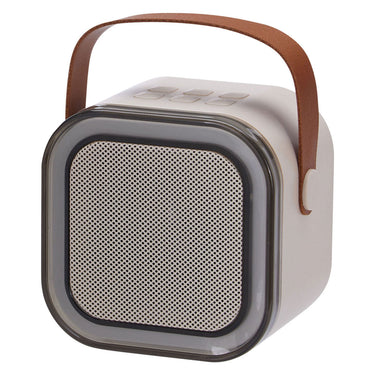 Draadloze karaokeset met speaker en 2 microfoons