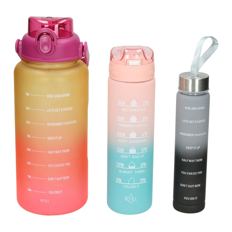Load image into Gallery viewer, Set drinkflessen 270ml, 650ml en 1800ml
