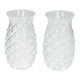 Set drinkglasen in ananasvorm 525ml - 2st.