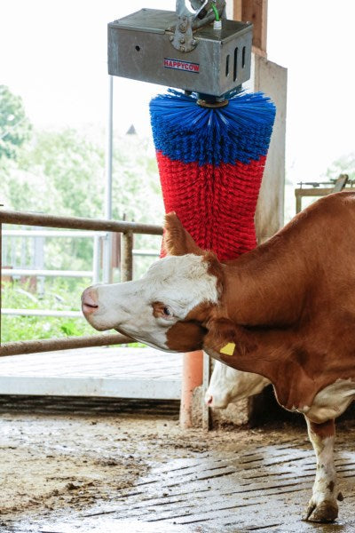 Producten happycow koeborstel maxiswing