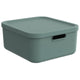 Rotho decoratie opbergbox albula light 20 l mistletoe groen