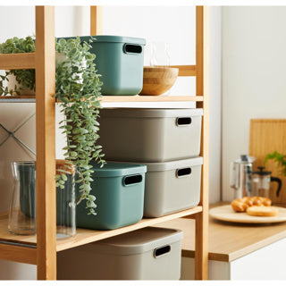 Rotho decoratie opbergbox albula light 20 l mistletoe groen