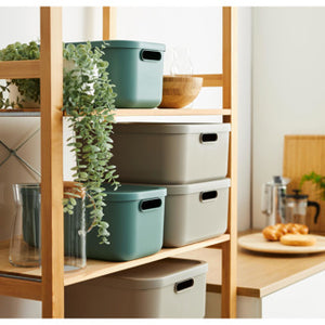 Rotho decoratie opbergbox albula light 20 l mistletoe groen