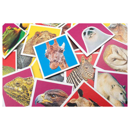 Tactic wildlife memo
