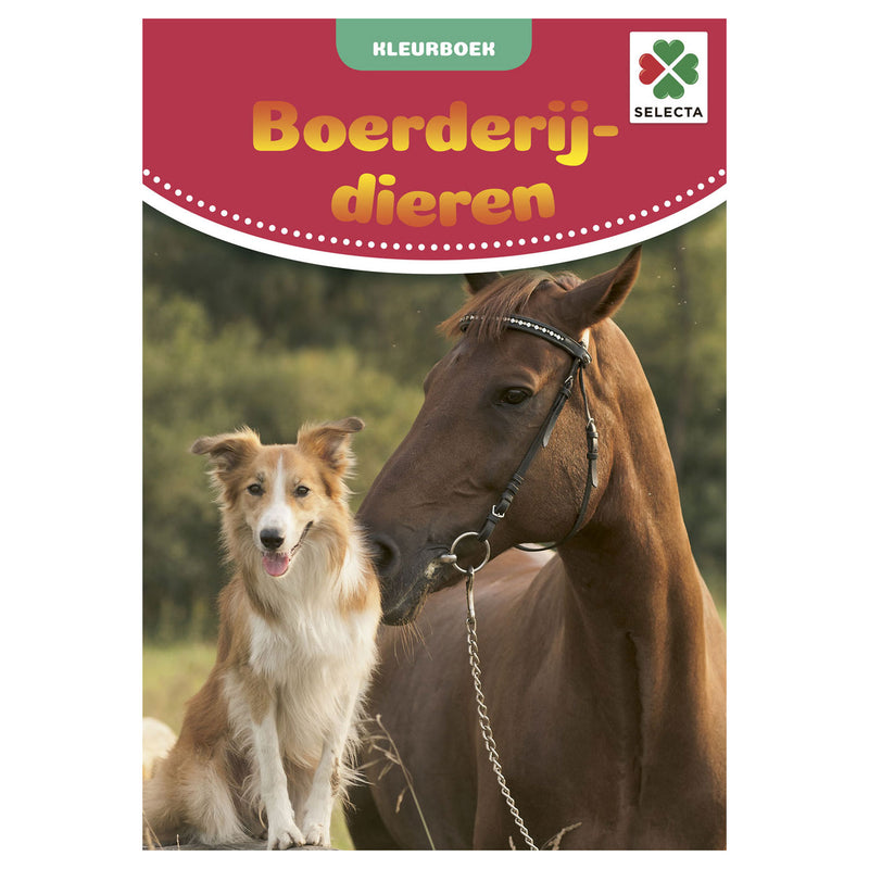 Load image into Gallery viewer, Selecta kleurboek boerderijdieren
