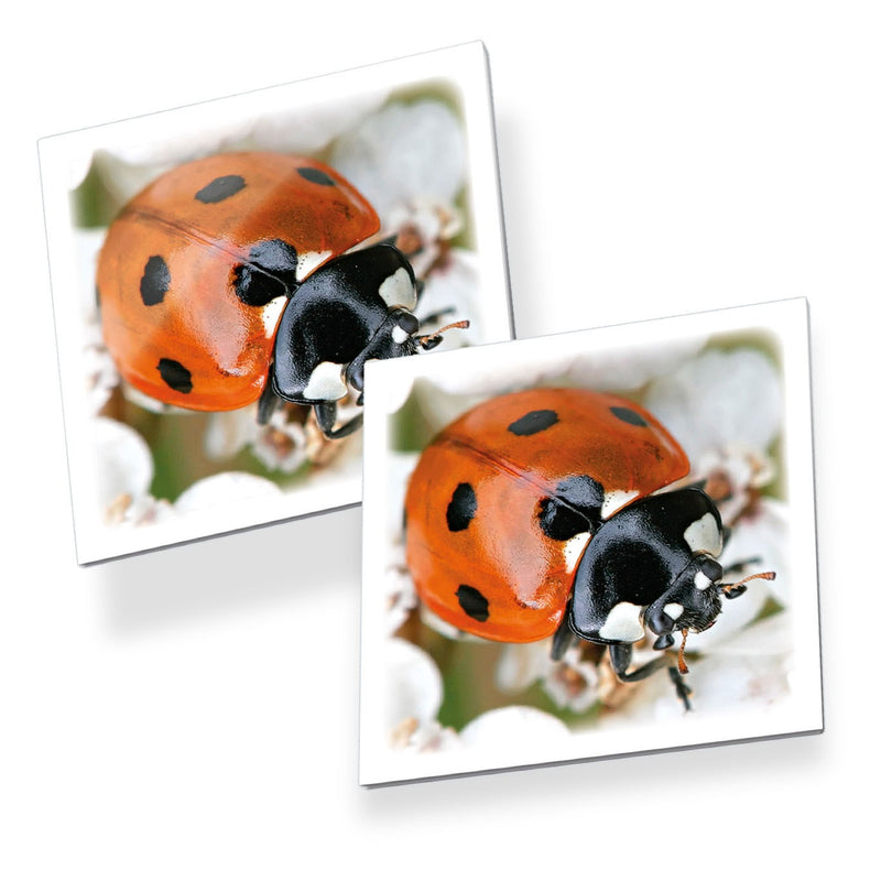Load image into Gallery viewer, Tactic memo insecten - memospel - zoek de juiste paren - vlinders, lieveheersbeestjes en andere kriebelbeestjes - educatief gezelschapsspel voor kinderen en families - 2 tot 6 spelers - vanaf 3 jaar
