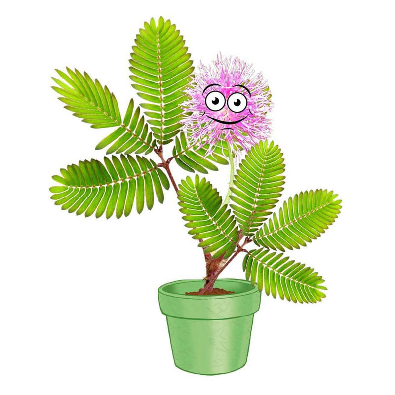 Load image into Gallery viewer, Kosmos mimosa garden speelset
