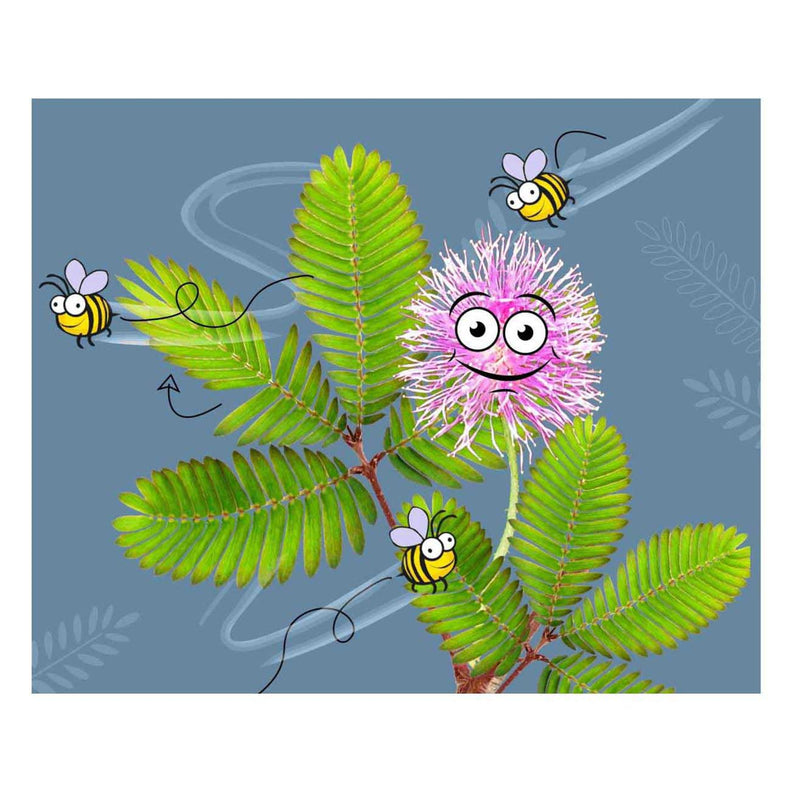 Load image into Gallery viewer, Kosmos mimosa garden speelset
