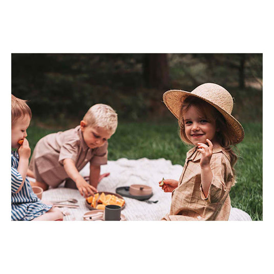 Dantoy serviesset, 56dlg.