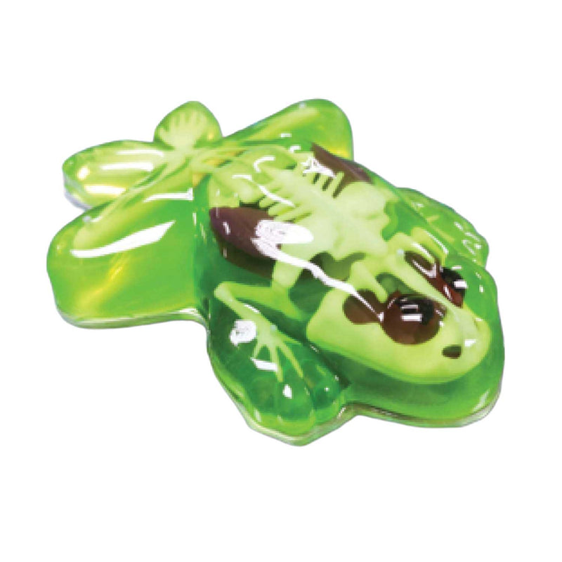 Load image into Gallery viewer, Slimy lab dissect-it ontleed een kikker
