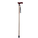 Vitility wandelstok opvouwbaar brons