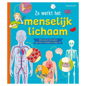Deltas zo werkt het menselijk lichaam