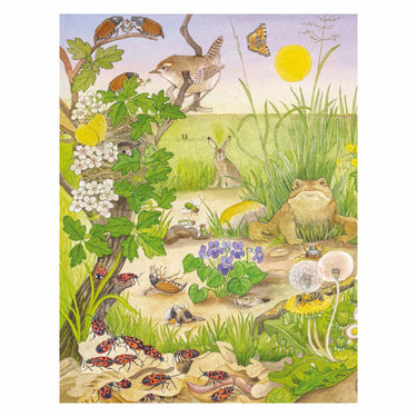 Deltas kijk- en zoekboek - kriebeldiertjes