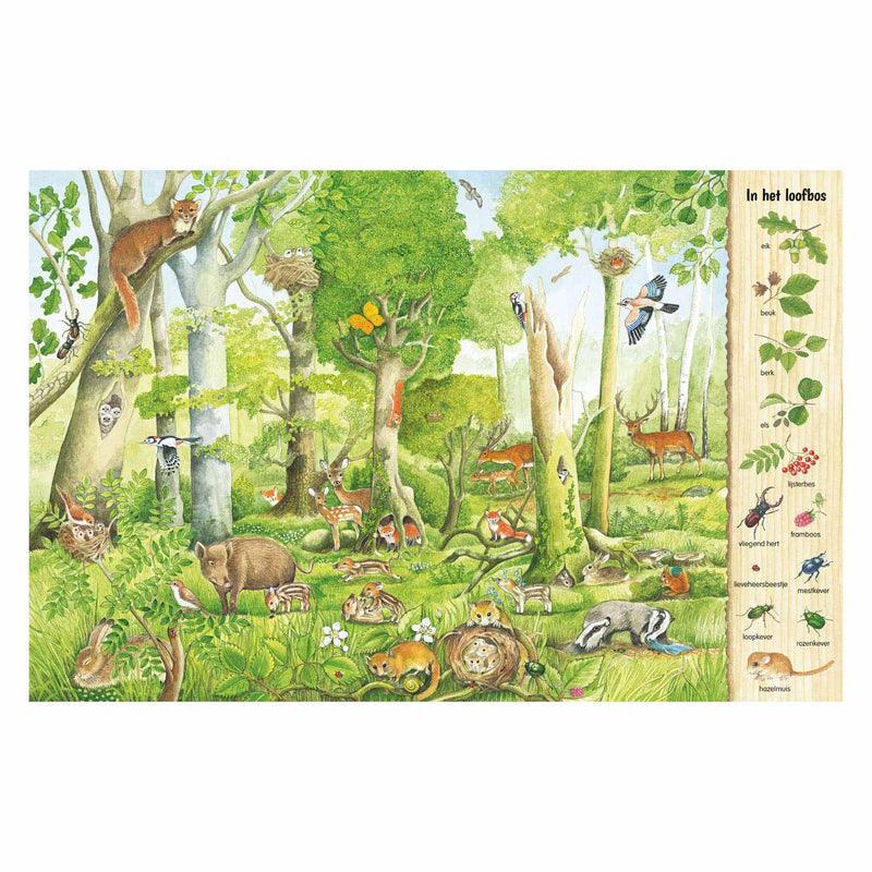 Load image into Gallery viewer, Deltas kijk- en zoekboek - in het bos
