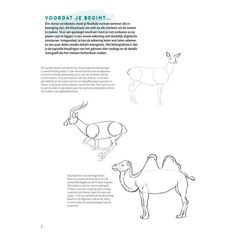 Load image into Gallery viewer, Deltas stap voor stap dieren leren tekenen
