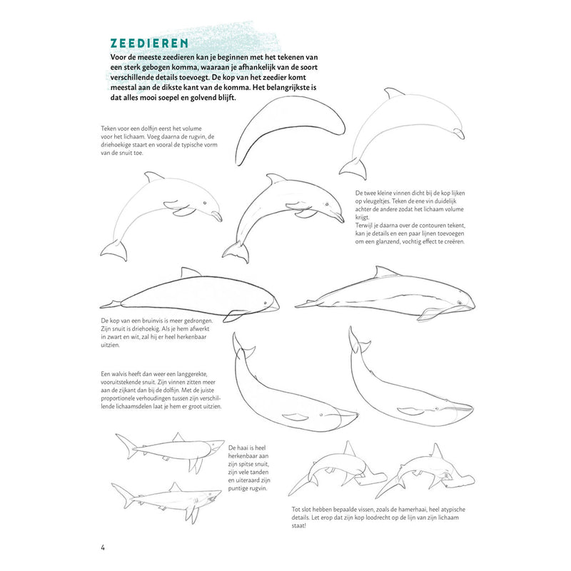 Load image into Gallery viewer, Deltas stap voor stap dieren leren tekenen
