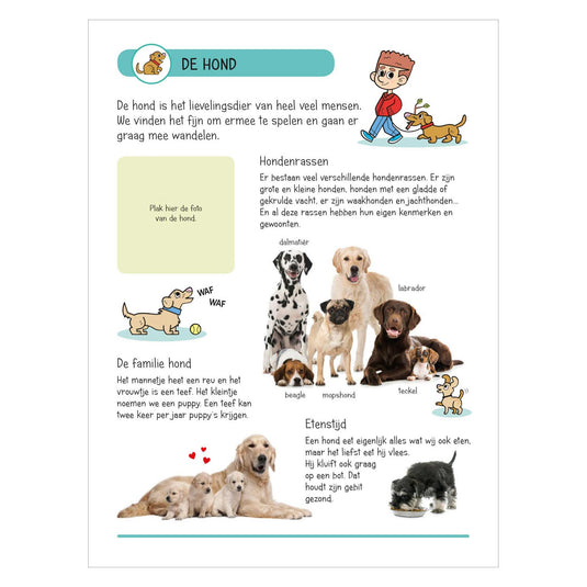 Stickerboek - Dieren in Huis en Tuin