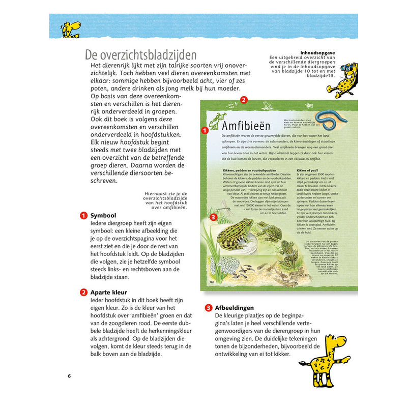 Load image into Gallery viewer, Deltas de grote dierenencyclopedie
