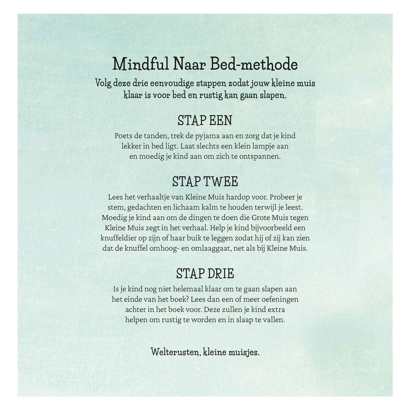 Load image into Gallery viewer, Deltas slaap lekker, kleine muis prentenboek
