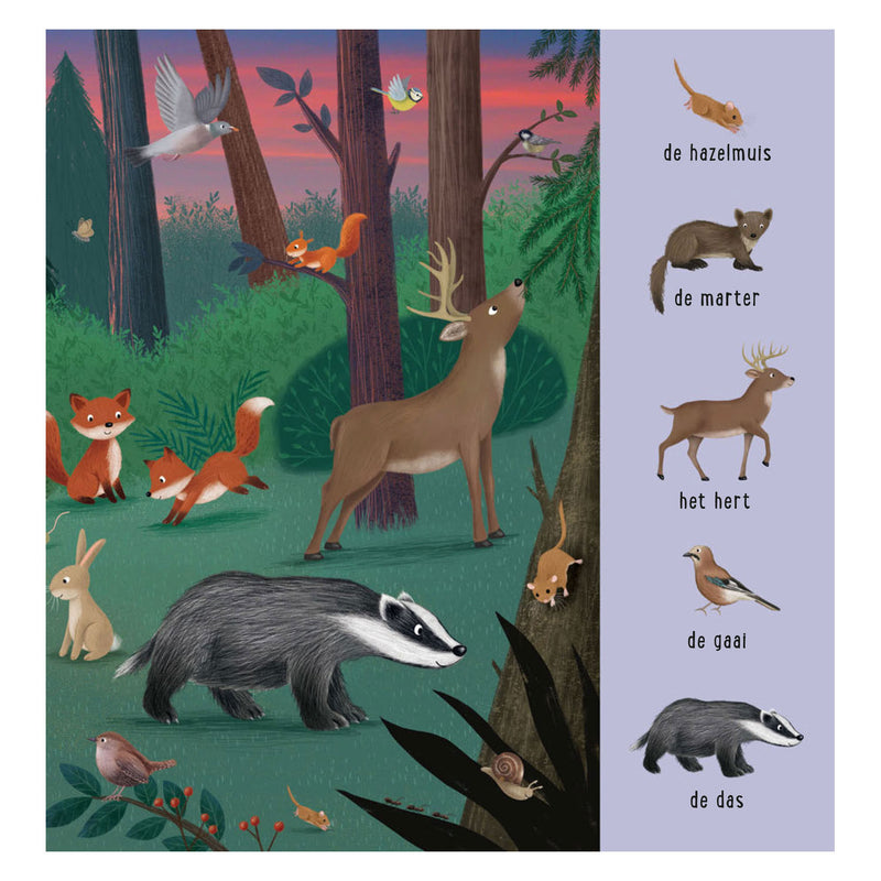 Load image into Gallery viewer, Deltas mijn eerste zoekboek - dieren uit de hele wereld
