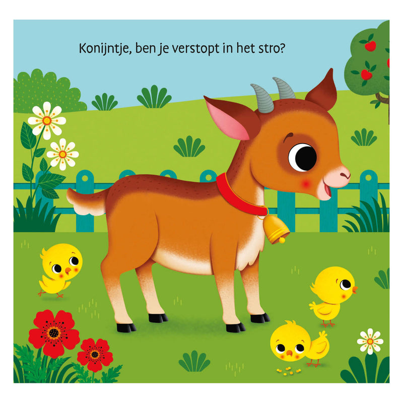 Load image into Gallery viewer, Deltas waar is het konijntje? flapjesboek
