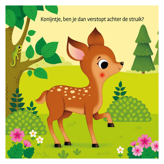 Deltas waar is het konijntje? flapjesboek