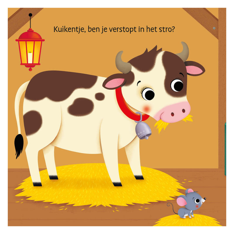 Load image into Gallery viewer, Deltas waar is het kuikentje? flapjesboek
