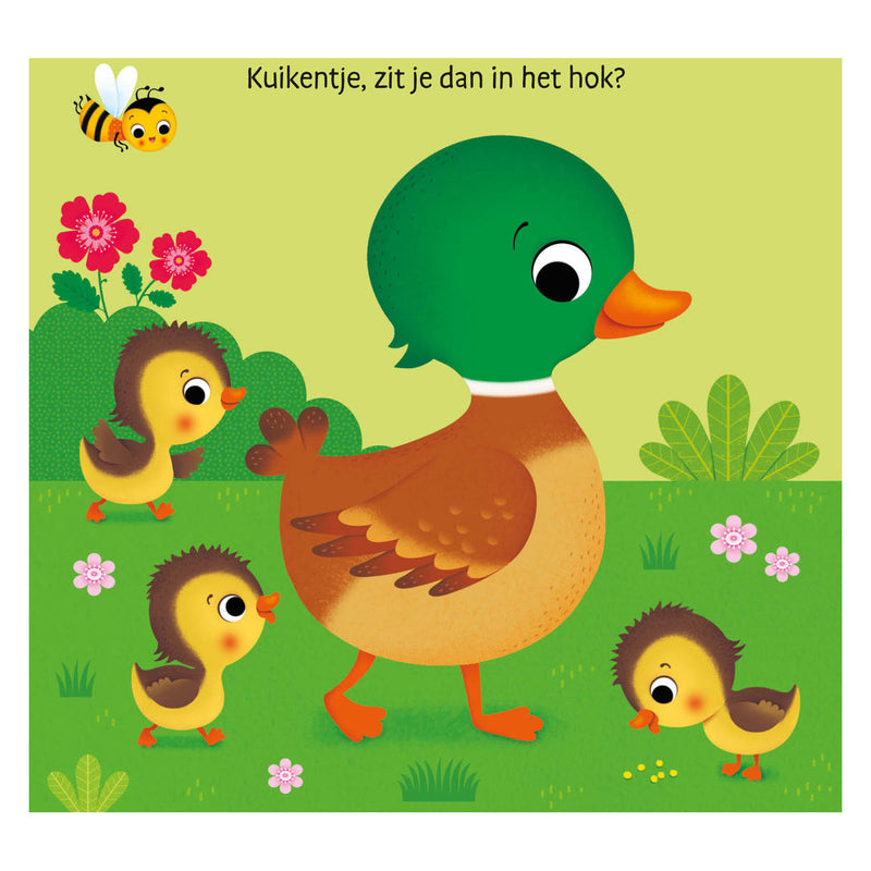 Load image into Gallery viewer, Deltas waar is het kuikentje? flapjesboek
