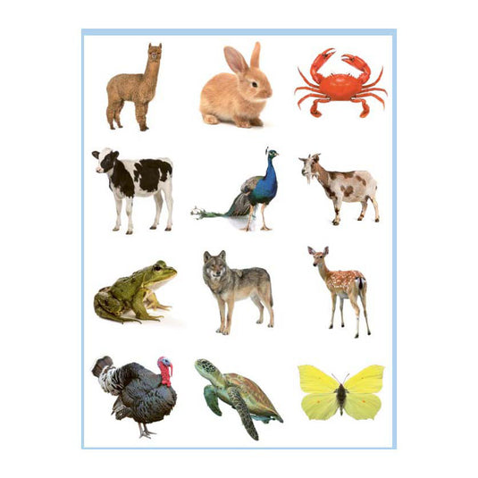 Deltas lieve dieren kleur- en stickerboek - 3-5 jaar
