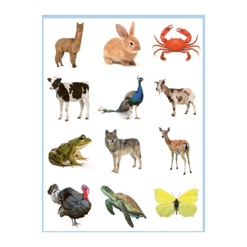 Load image into Gallery viewer, Deltas lieve dieren kleur- en stickerboek - 3-5 jaar
