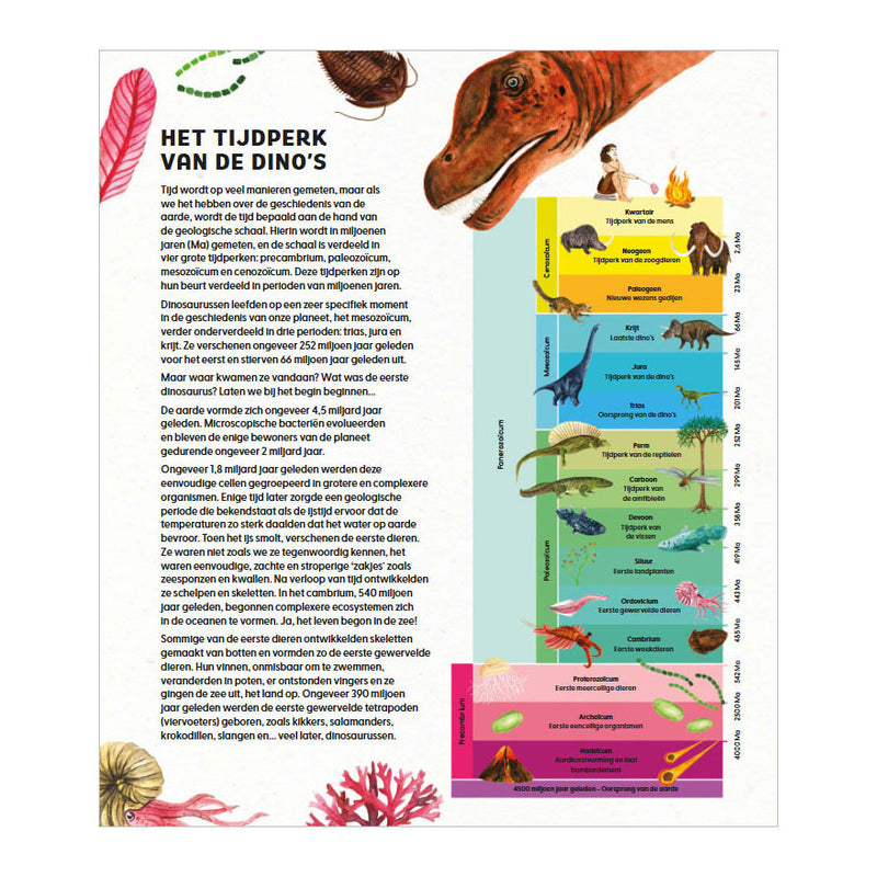 Load image into Gallery viewer, Deltas de wondere wereld van dinosaurussen
