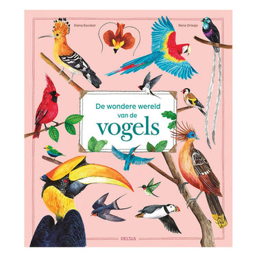 Deltas de wondere wereld van vogels
