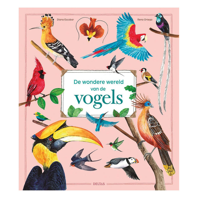 Load image into Gallery viewer, Deltas de wondere wereld van vogels
