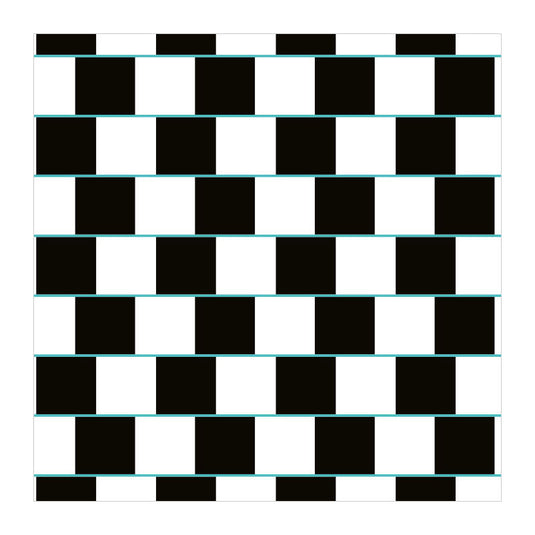 Deltas optische illusies - memospel
