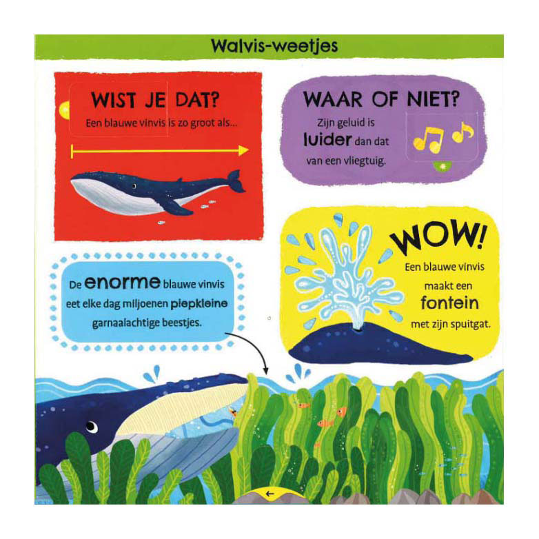 Load image into Gallery viewer, Deltas mijn eerste weetjesboek bij de dieren
