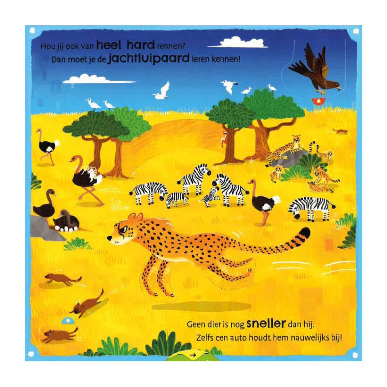 Load image into Gallery viewer, Deltas mijn eerste weetjesboek bij de dieren
