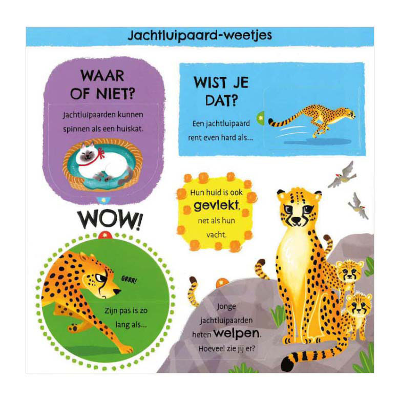 Load image into Gallery viewer, Deltas mijn eerste weetjesboek bij de dieren
