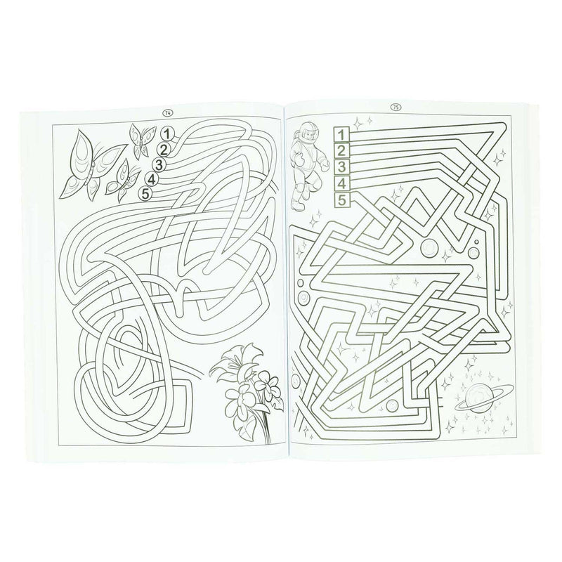 Load image into Gallery viewer, Wins holland doolhovenboek - 115 doolhoven
