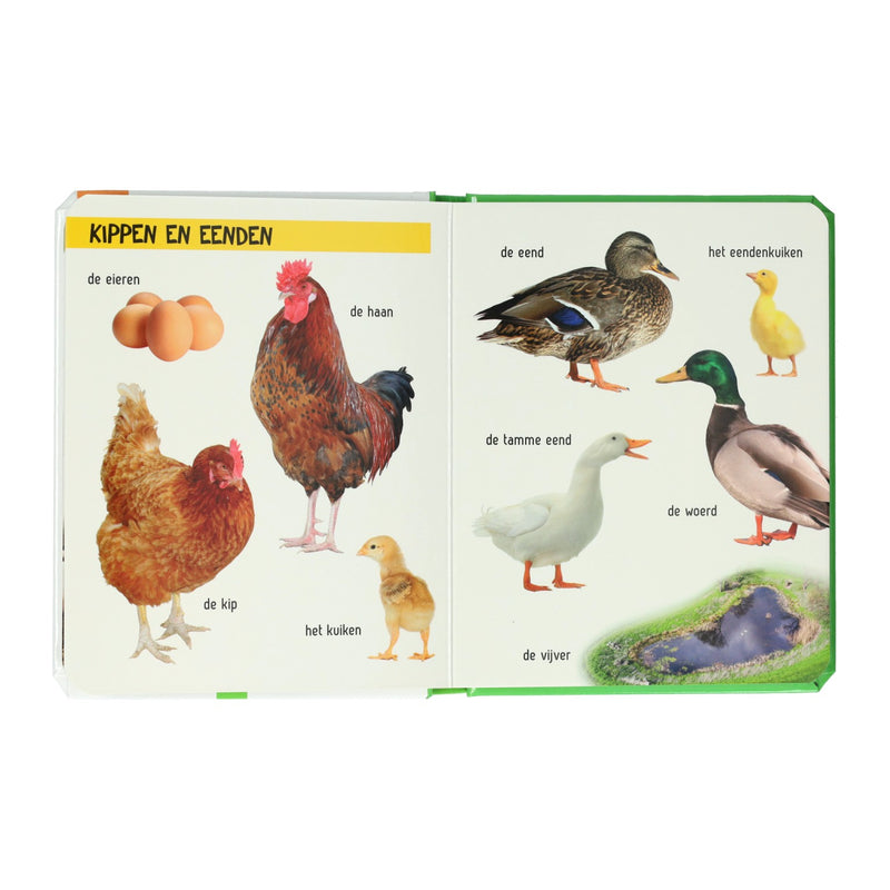 Load image into Gallery viewer, Wins holland kijk eens wat zie je daar? de boerderij
