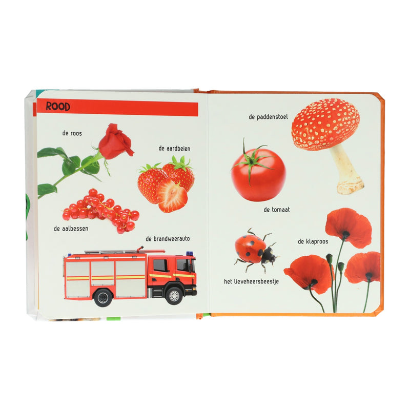 Load image into Gallery viewer, Wins holland kijk eens wat zie je daar? kleuren
