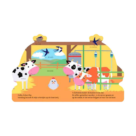 Load image into Gallery viewer, Wins holland kartonboek op avontuur met kip
