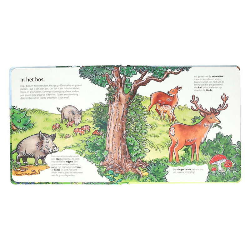 Load image into Gallery viewer, Wins holland kinderen ontdekken het bos
