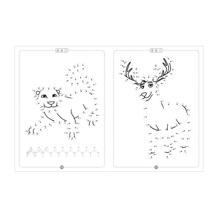 Load image into Gallery viewer, Rebo publishers dieren, van punt tot punt.
