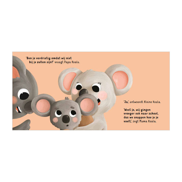 Load image into Gallery viewer, Rebo publishers naar school - stap voor stap kartonboekje
