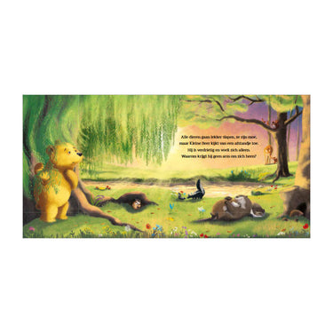 Rebo publishers grote knuffels voor kleine beer