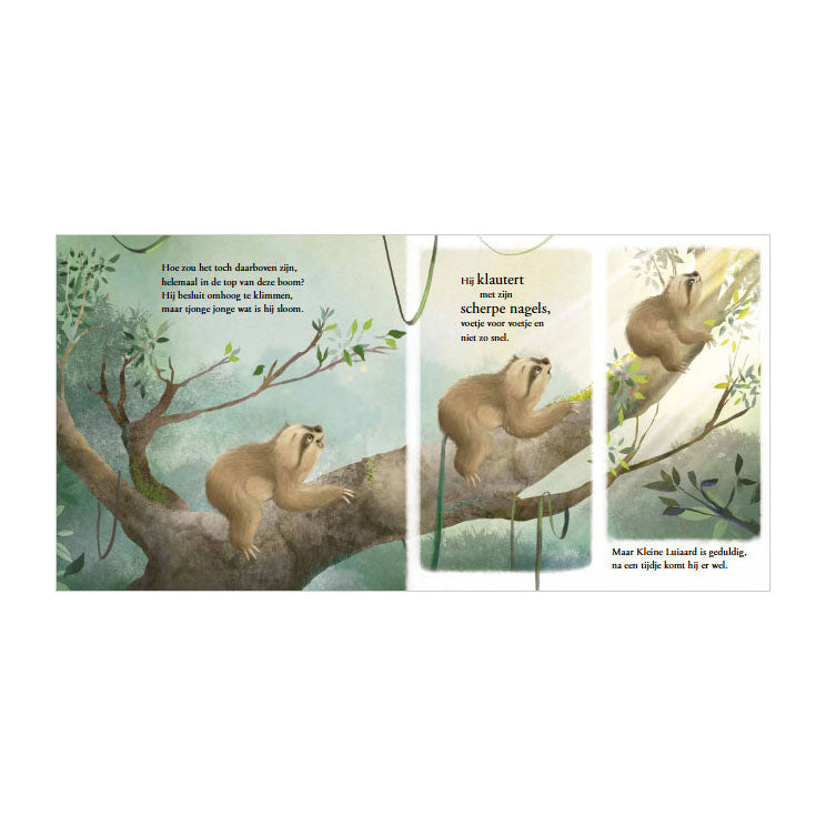 Load image into Gallery viewer, Rebo publishers kleine luiaard
