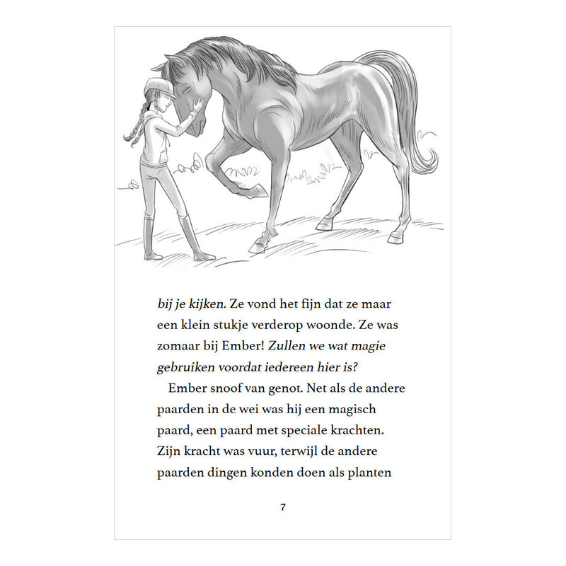 Load image into Gallery viewer, Rebo publishers moonlight riders 2 - stormpaard
