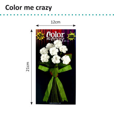 Petaloo • color me crazy bouquets wild flowers x8